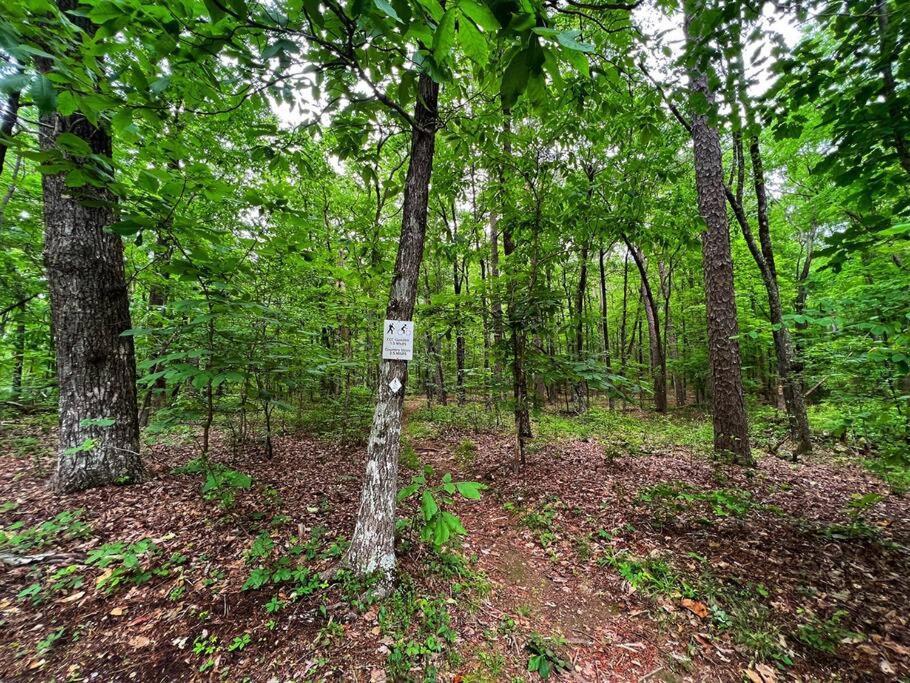 Coyote Cabin At Woodland Retreat At Desoto Beside Desoto State Park Fort Payne Εξωτερικό φωτογραφία